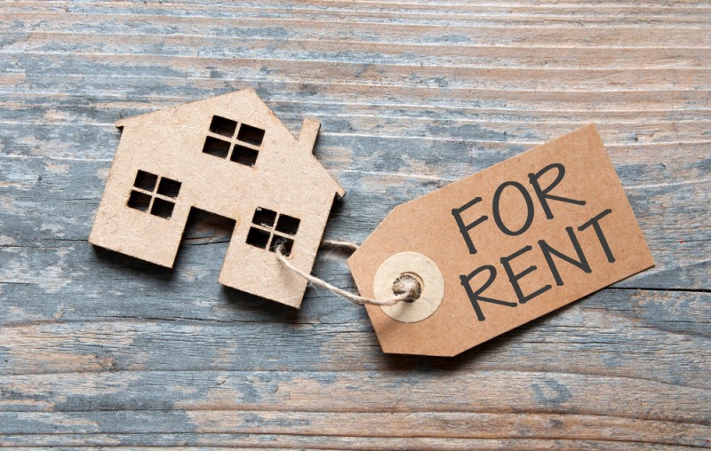 Beginners Guide To Renting